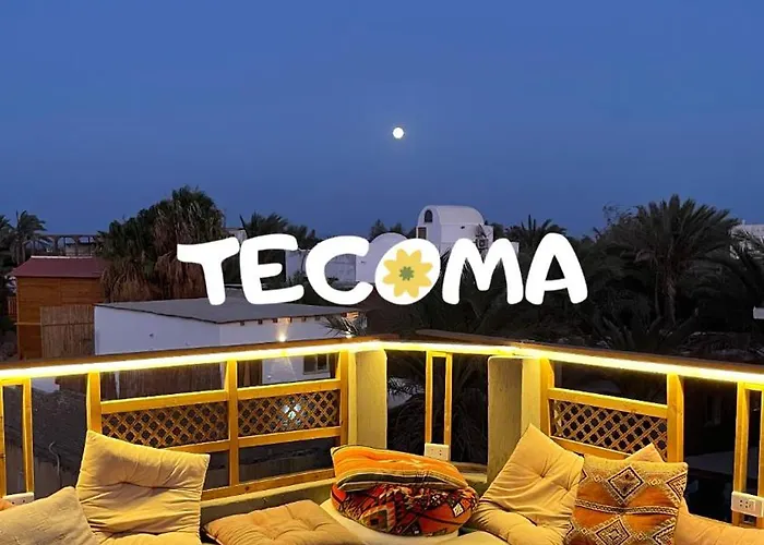 Tecoma *