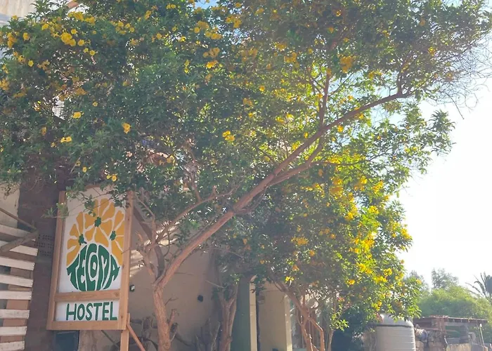 Tecoma Hostel Dahab